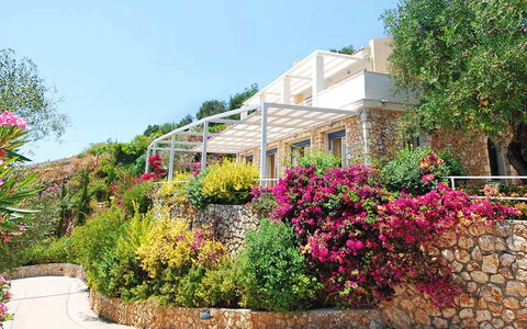 Villa Aspro: Blume, Strauch, Garten, Rosa, Frühling, Landscaping, Garten, Botanischer Garten, Balkon, Villa
