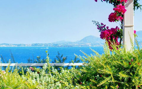 Villa Aspro: Blume, Blau, Grün, Vegetation, Sommer, Meer, Küsten Und Ozeanische Forms, Ozean, Frühling