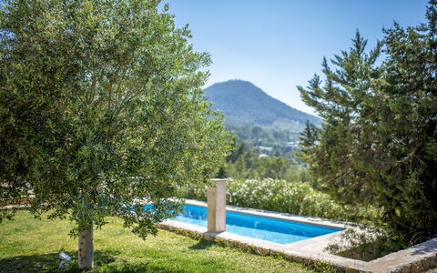 Villa Sharon: Strauch, Schatten, Garten, Landscaping, Immergrün, Eco Hotel