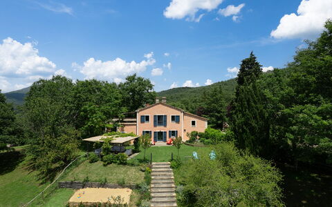Villa la Foresta: Baum, Ländliches Gebiet, Hütte, Bergstation, Estate, Plantage, Eco Hotel, Bergdorf, Bauernhaus, Immergrün