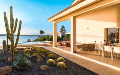 Sea Art Villa: Landscaping, Garten, Estate, Villa, Resort, Küste, Schatten, Eco Hotel, Auffahrt