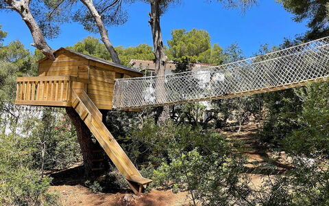 Villa Alejandra: Baum, Holz, Dschungel, Urlaub