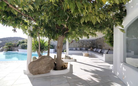 Villa Andy: Schatten, Blumentopf, Schwimmbad, Garten, Landscaping, Beton, Zimmerpflanze, Hof, Outdoor Struktur, Design