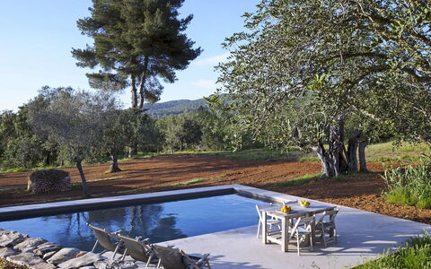 Villa Cave: Schwimmbad, Garten, Schatten, Landscaping, Gartenmöbel, Water Feature, Hinterhof, Sonnenliege, Reflecting Pool, Resort