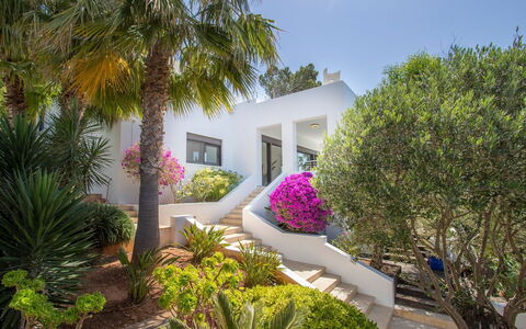 Villa Ilona: Strauch, Garten, Landscaping, Estate, Villa, Resort, Hazienda, Garten, Villa