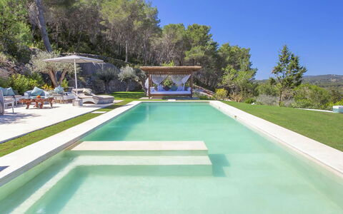 Villa Blueberry: Schwimmbad, Resort, Verbundwerkstoff, Thermae, Eco Hotel, Freizeit, Garten, Landscaping, Estate, Water Feature