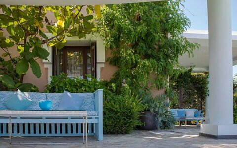 West Coast: Möbel, Gartenmöbel, Stuhl, Schatten, Garten, Tisch Im Freien, Landscaping, Armlehne, Eco Hotel, Outdoor Struktur