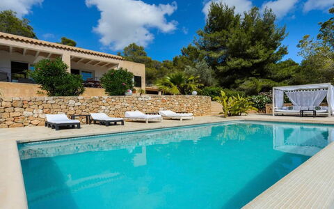 Villa Curiosity: Blau, Schwimmbad, Resort, Gartenmöbel, Tropen, Eco Hotel, Sonnenliege, Schatten, Thermae, Hotel