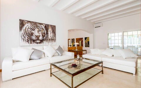Villa Besso: Möbel, Interior Design, Couch, Flooring, Fussboden, Wand, Holz, Wohnzimmer, Zuhause, Zimmer