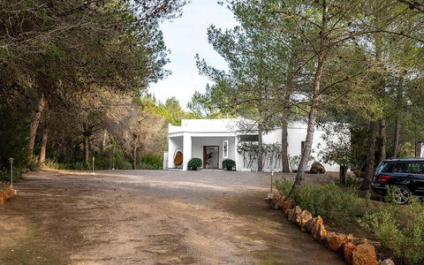 Villa Floresta: Baum, Zuhause, Estate, Auffahrt, Landscaping, Schatten, Hazienda, Villa, Bauernhaus, Villa
