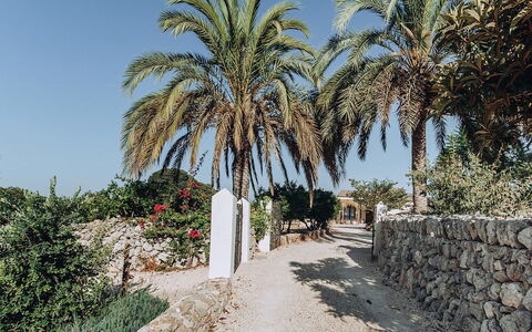 Villa Horses: Himmel, Vegetation, Strauch, Gehölz, Landscaping, Tropen