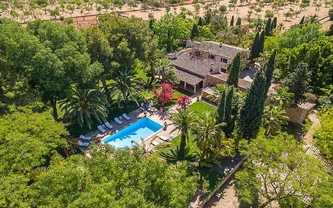 Villa Peacock: Schwimmbad, Resort, Hazienda, Eco Hotel, Garten, Estate, Landscaping, Villa, Hotel