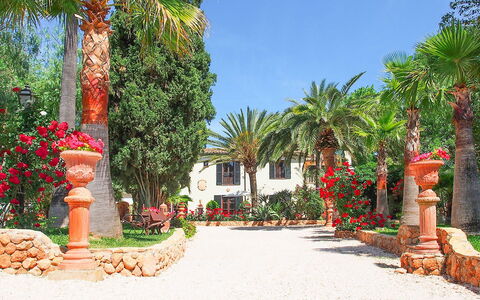 Villa Peacock: Baum, Hazienda, Garten, Schatten, Landscaping, Resort, Eco Hotel