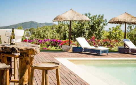 Villa Vineyard: Resort, Gartenmöbel, Schwimmbad, Eco Hotel, Schatten, Estate, Hazienda, Regenschirm, Terrasse, Villa
