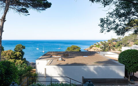 Villa Bellalta: Baum, Küsten Und Ozeanische Forms, Küste, Meer, Ozean, Estate, Tropen, Schatten, Eco Hotel
