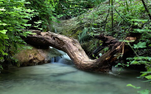 Borgo di San Biagio: Wasservorräte, Wasser, Gewässer, Natur, Wasserlauf, Grün, Natürlichen Umgebung, Strom, Vegetation, Ast