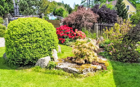 U Kohouta: Grün, Blume, Blatt, Garten, Strauch, Pflanzengemeinschaft, Ground, Rasen, Gehölz