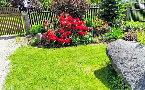 U Kohouta: Blume, Gras, Garten, Strauch, Rasen, Ground, Hinterhof, Garten