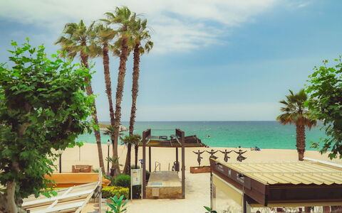 Azulmar: Strand, Meer, Küste, Küsten Und Ozeanische Forms, Ozean, Schatten, Ufer, Tropen, Urlaub, Karibik