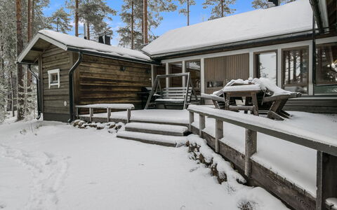 Luhtalemmikki