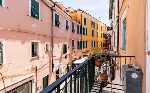 Milena: Nachbarschaft, Wohnung, Balkon, Eisen, Farbe, Zimmerpflanze, Blumentopf