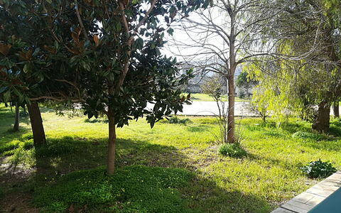 Noemi'S House in Otranto: Blatt, Ast, Strauch, Garten, Kofferraum, Gehölz, Rasen, Schatten, Landscaping, Garten