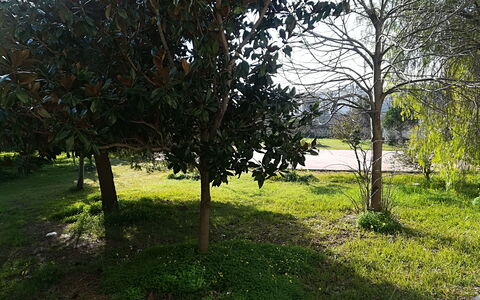 Noemi'S House in Otranto: Blatt, Strauch, Kofferraum, Gehölz, Garten, Schatten, Landscaping, Rasen, Garten, Park