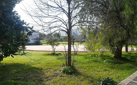 Noemi'S House in Otranto: Blatt, Gras, Ast, Grün, Natur, Vegetation, Strauch, Garten, Kofferraum, Zweig