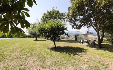 Villa Felice, Private Pool and Hills: Baum, Gras, Ast, Einfach, Landschaft, Wiese, Grundstueck, Sonnenlicht, Rasen, Wiese