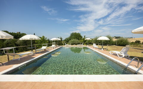 Il Giuncheto, Pool, Amazing View, Umbrian Countrys: Schwimmbad, Landscaping, Gartenmöbel, Plantage