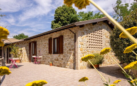 Il Giuncheto Apartments, Pool, Umbrian Countryside: Hütte, Haus, Tür, Zuhause, Garten, Bauernhaus, Blumentopf, Estate, Garten, Hinterhof