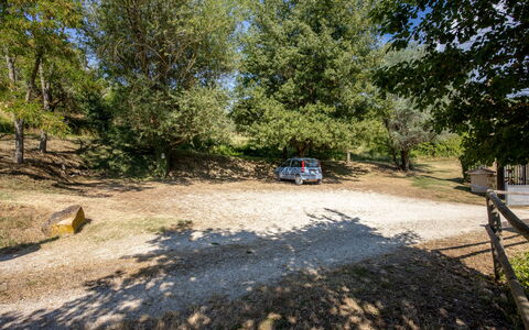 Il Giuncheto Apartments, Pool, Umbrian Countryside: Baum, Weg, Boden, Familienauto, Parkplatz, Auffahrt, Schatten