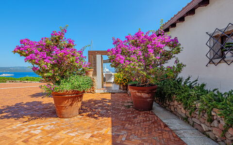 Residenza Rudalza: Blume, Strauch, Rosa, Blumentopf, Garten, Frühling, Zimmerpflanze, Landscaping