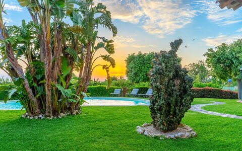 Villa Polistena: Blau, Grün, Gras, Strauch, Landschaft, Garten, Schwimmbad, Rasen, Resort