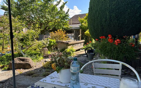 Gartenstudio Belle Vue: Grün, Möbel, Strauch, Garten, Stuhl, Blumentopf, Tabelle, Gartenmöbel, Tisch Im Freien