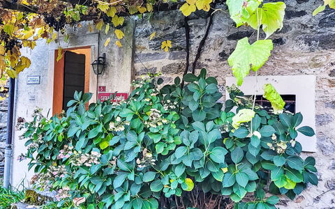Casa Sambuco: Gebirge, Senke, Alpen, Grat, Gipfel, Hauptquartier