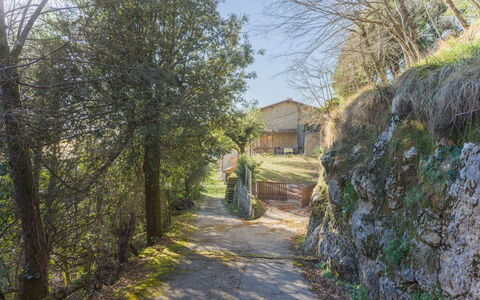 Casa dei Nonni: Meer, Küsten Und Ozeanische Forms, Ozean, Küste, Strand, Ufer, Balkon, Tropen, Bucht