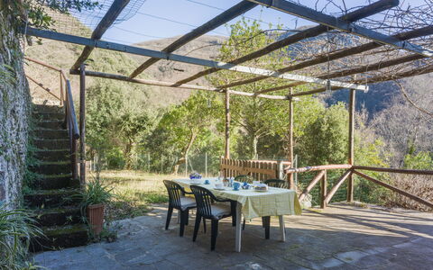 Casa dei Nonni: Meer, Küsten Und Ozeanische Forms, Ozean, Küste, Strand, Ufer, Balkon, Tropen, Bucht