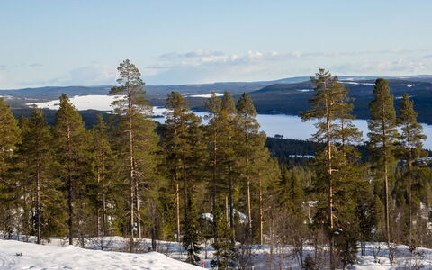 Svanhågna Gård: Holz, Hütte, Zuhause, Haus, Dach, Abstellgleis, Winter, Schnee, Einfrieren, Steigung