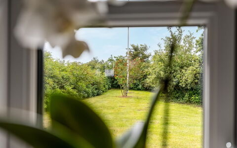 Nette - 15Km from the Sea: Blatt, Vegetation, Grundstueck, Frühling, Sonnenlicht, Gehölz, Garten, Glas, Rasen