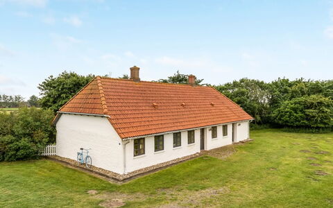 Nette - 15Km from the Sea: Himmel, Gras, Dach, Haus, Hütte, Einfach, Ländliches Gebiet, Landschaft, Zuhause, Wiese