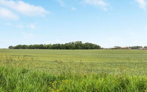 Nette - 15Km from the Sea: Himmel, Blau, Grün, Daytime, Gras, Natürlichen Umgebung, Wiese, Feld, Einfach, Natürliche Landschaft