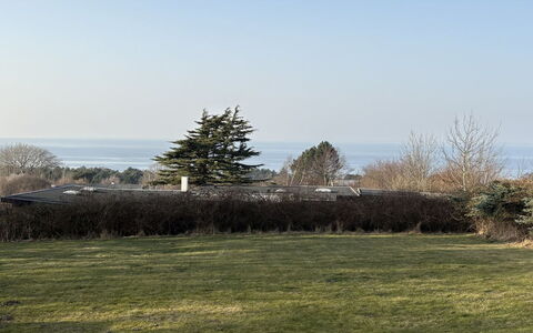Heike - 650M from the Sea: Himmel, Einfach, Grundstueck, Rasen, Landscaping, Immergrün, Park