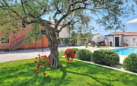 Villa Roza: Haus, Garten, Schatten, Estate, Hazienda, Landscaping, Garten, Hof, Villa