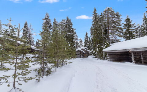 Rukastuga: Schnee, Baum, Ast, Winter, Einfrieren, Lärche, Wald, Steigung, Bergstation