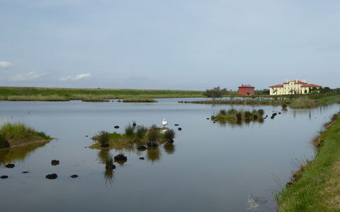 Villa Camerini, Nature, Bikes and Beaches: Wasservorräte, Wasser, Gewässer, Sumpf, Natürliche Landschaft, Wasserweg, Bank, Wasserlauf