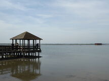Villa Camerini, Nature, Bikes and Beaches