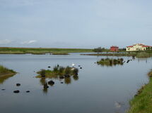 Villa Camerini, Nature, Bikes and Beaches