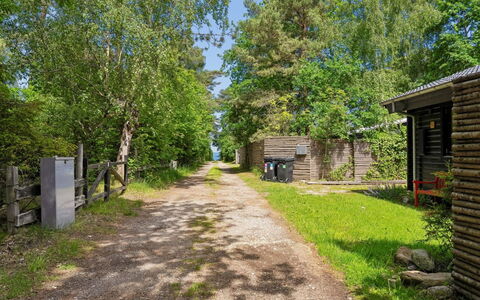 Hoat - 250M from the Sea: Baum, Grün, Strauch, Grundstueck, Ländliches Gebiet, Hütte, Weg, Frühling, Garten