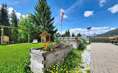 Navis 604: Frühling, Bergstation, Gebirge, Garten, Senke, Landscaping, Alpen, Lärche, Zaun